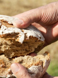 17382_02_brot_brechen_by_martha_gahbauer_pfarrbriefservice